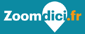 Logo Zoom d'ici